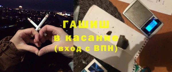 прущие грибы Абаза