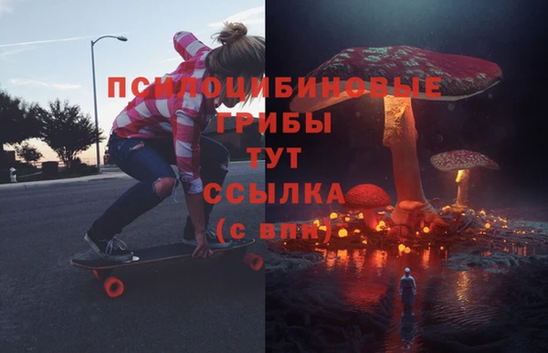 Альфа ПВП Алексин